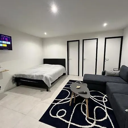 Independant & Lumineux アパート *